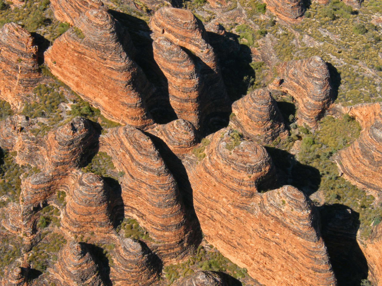 bungle bungle bungle bungle